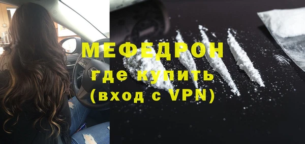 индика Надым
