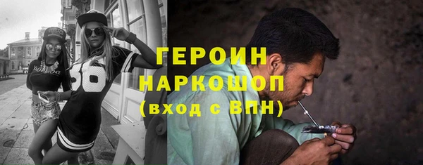 индика Надым