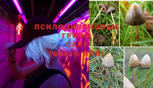 прущий лед Нефтегорск