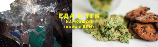 индика Надым