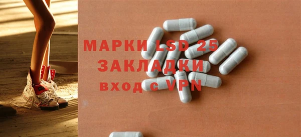 индика Надым
