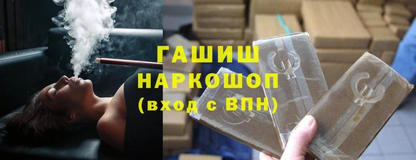 индика Надым