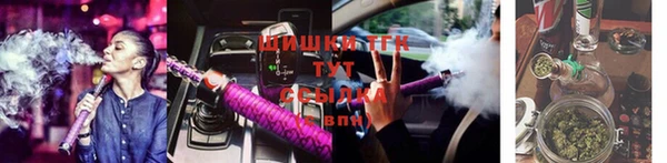 индика Надым
