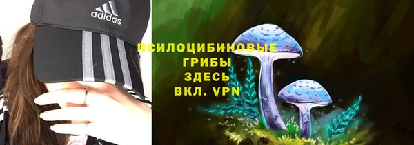 ешки Навашино