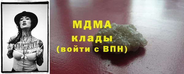 индика Надым