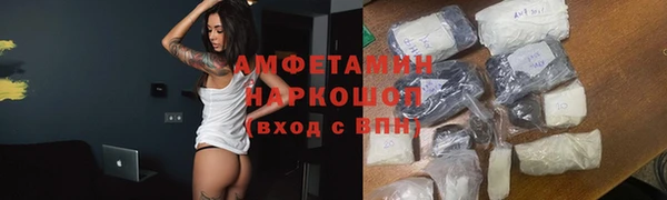 индика Надым