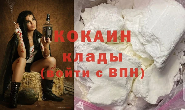 индика Надым