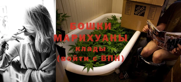 индика Надым