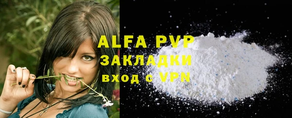 индика Надым