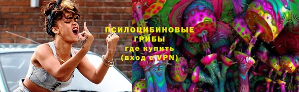 стафф Нефтекумск
