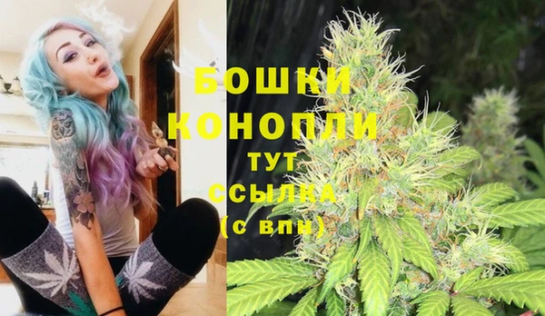 стафф Нефтекумск
