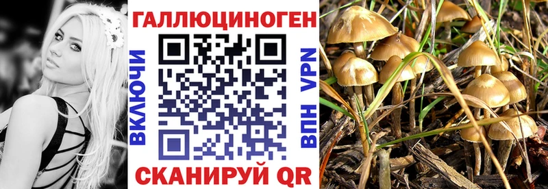 Купить закладки Лянтор Галлюциногенные грибы мицелий